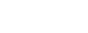 Henderson Silver Knights Foundation logo