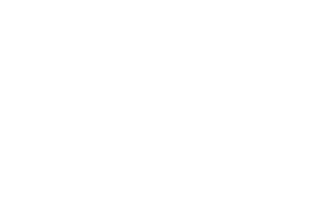 the dollar loan center logo