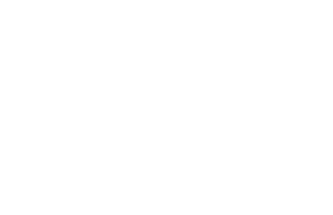 Vegas Knight Hawks logo